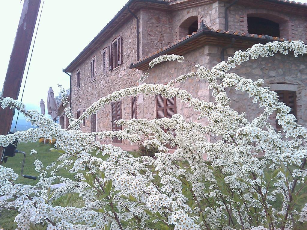 Agriturismo Il Poggiolo Montemerano Exterior photo
